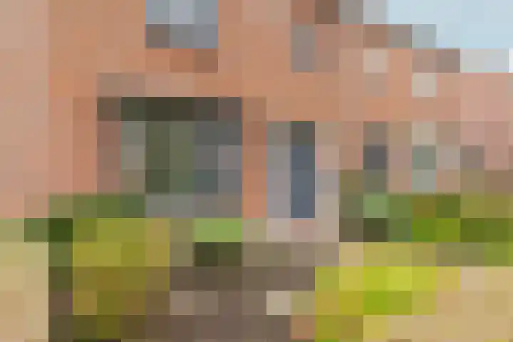 Zonstraat 27 De Meern thumbnail 50