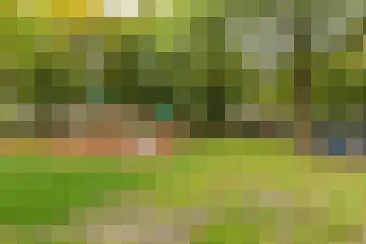 Zonstraat 27 De Meern thumbnail 52
