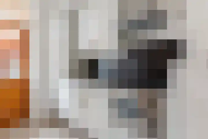 Zonstraat 27 De Meern thumbnail 9