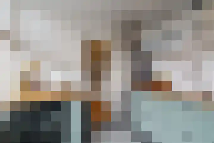 Zonstraat 33 De Meern thumbnail 13