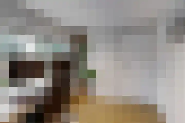 Zonstraat 33 De Meern thumbnail 20