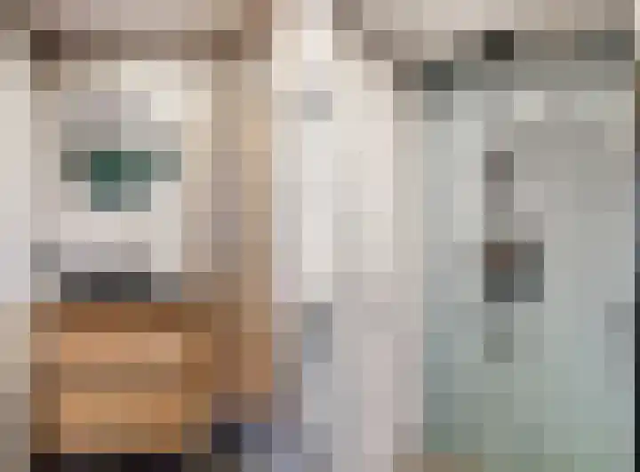 Zonstraat 33 De Meern thumbnail 22