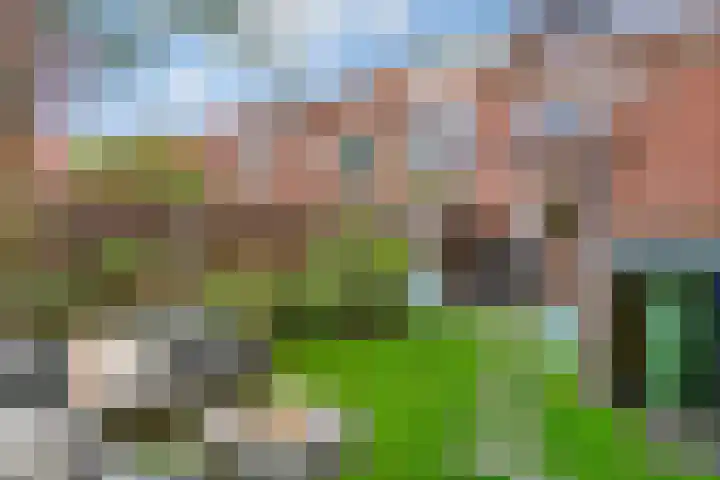 Zonstraat 33 De Meern thumbnail 28