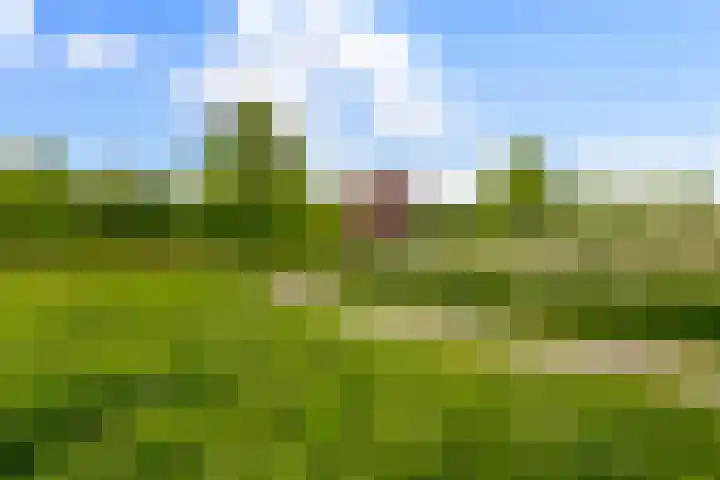 Zonstraat 33 De Meern thumbnail 32