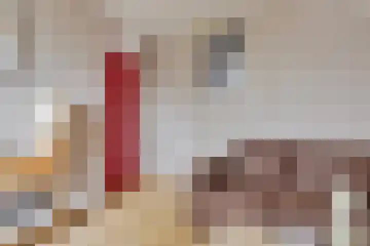 Zonzijde 2 De Meern thumbnail 26