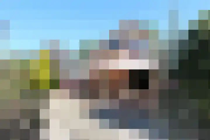 Zonzijde 2 De Meern thumbnail 34