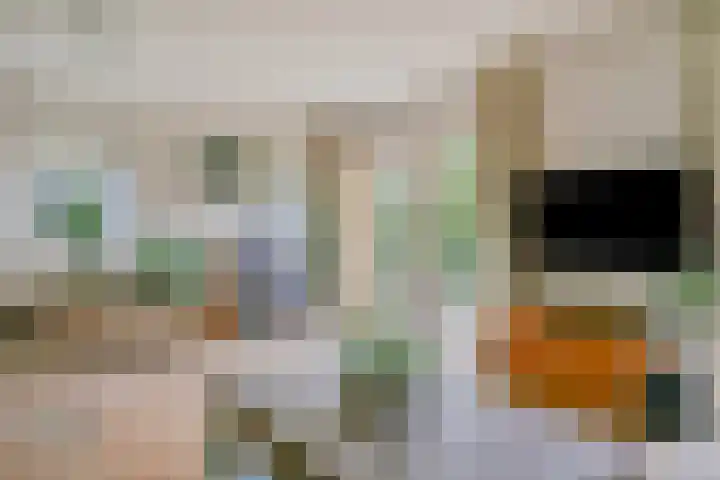 Zonzijde 2 De Meern thumbnail 7