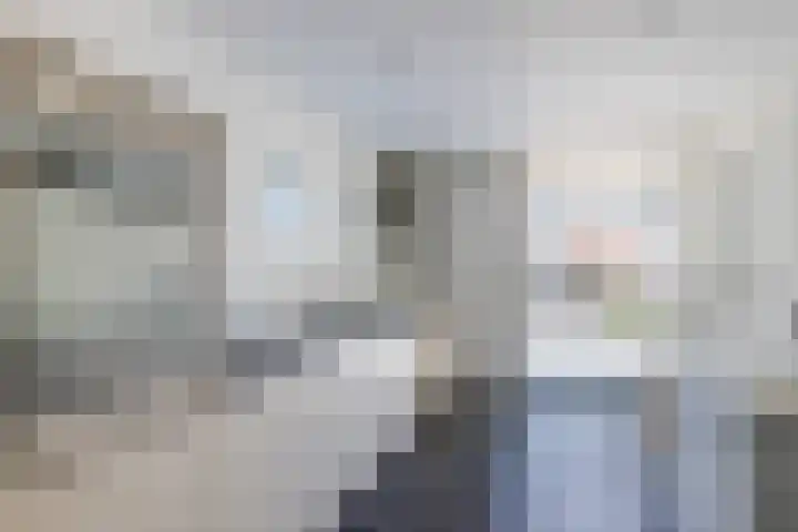 Zonzijde 20 De Meern thumbnail 10