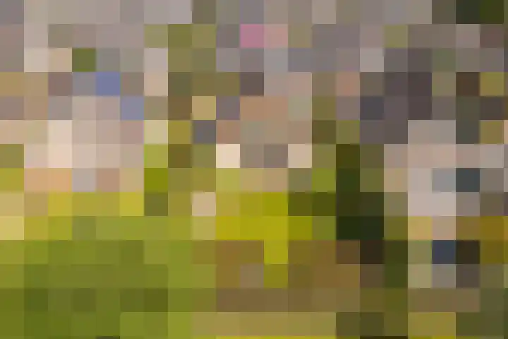 Zonzijde 20 De Meern foto 2