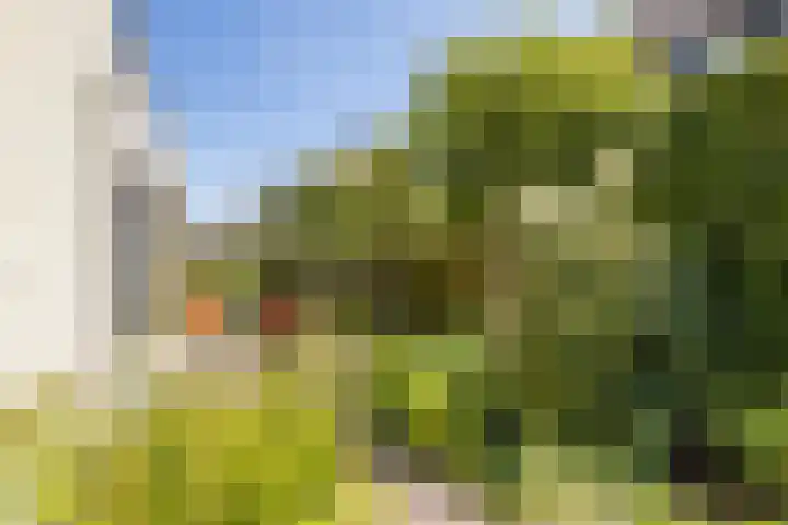 Zonzijde 20 De Meern thumbnail 22