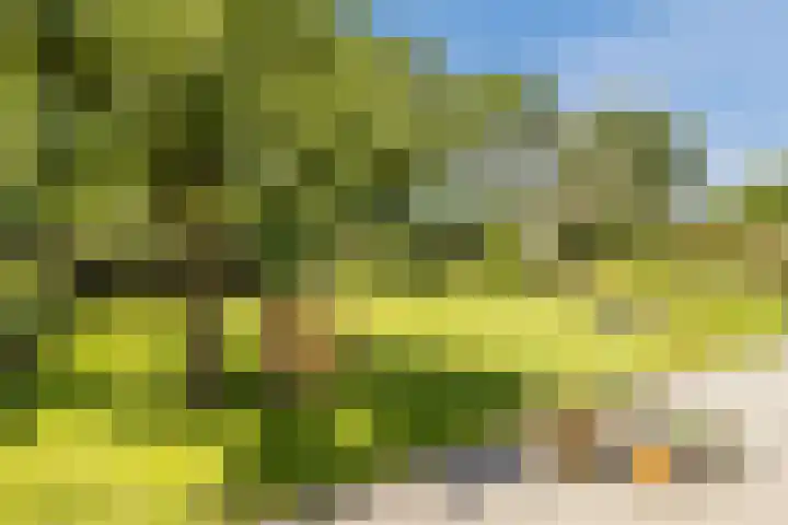 Zonzijde 20 De Meern thumbnail 23