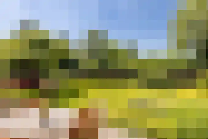 Zonzijde 20 De Meern thumbnail 26