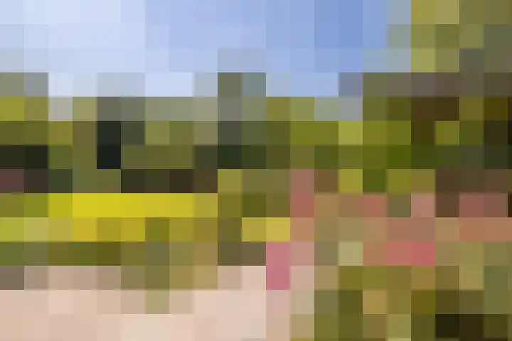 Zonzijde 20 De Meern thumbnail 28