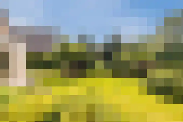Zonzijde 20 De Meern thumbnail 30