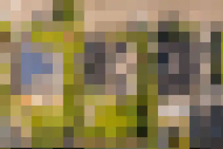 Zonzijde 20 De Meern thumbnail 36