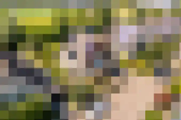 Zonzijde 20 De Meern thumbnail 79