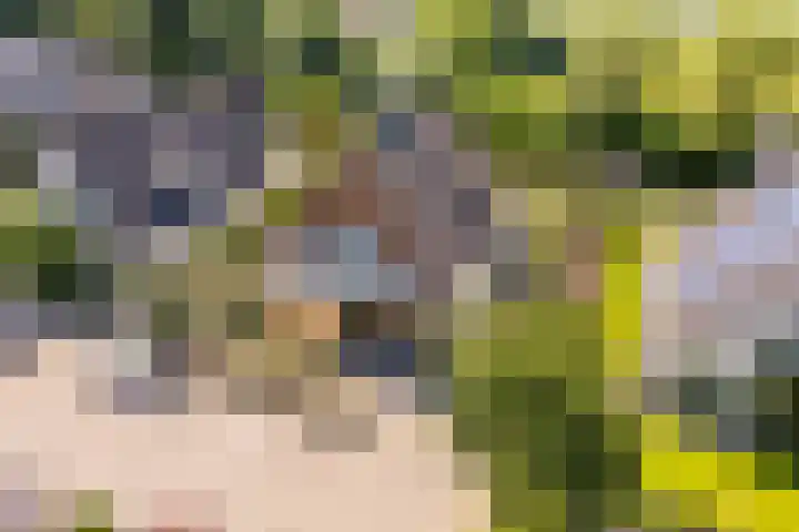 Zonzijde 20 De Meern thumbnail 81