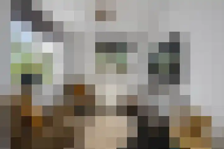 Zoom 10 Brielle thumbnail 10