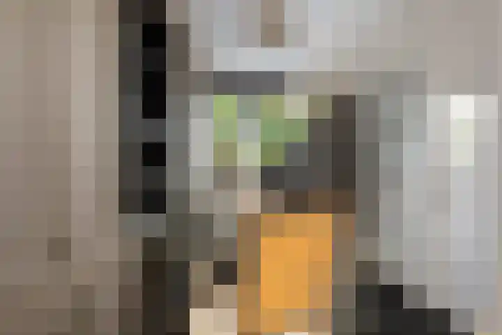 Zoom 10 Brielle thumbnail 16