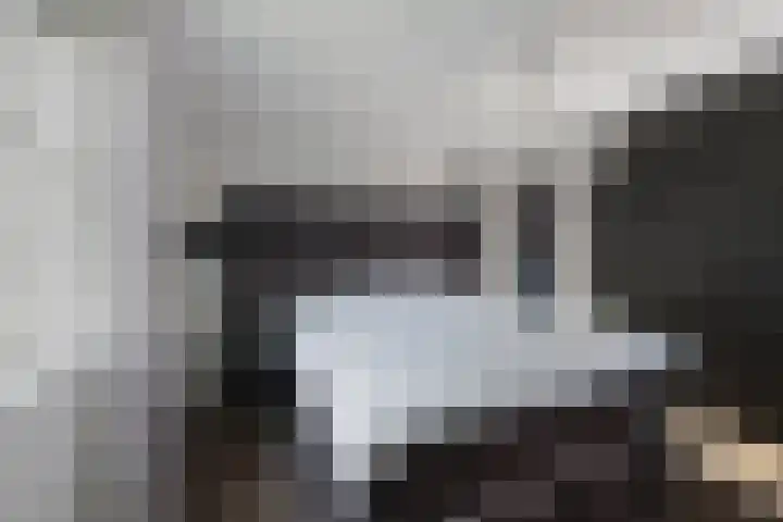 Zoom 10 Brielle thumbnail 19
