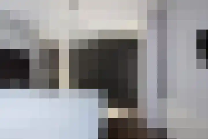Zoom 10 Brielle thumbnail 21