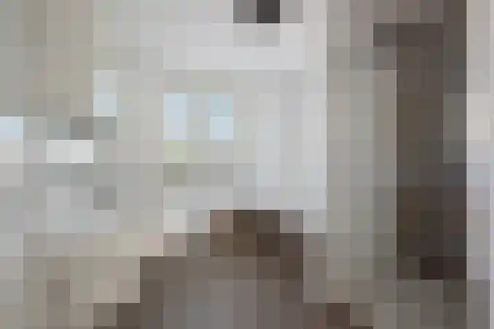 Zoom 10 Brielle thumbnail 22