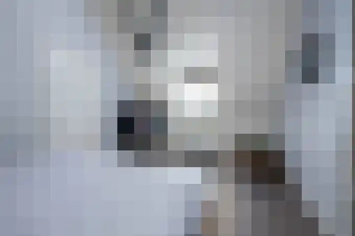 Zoom 10 Brielle thumbnail 35