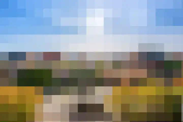 Zoom 10 Brielle thumbnail 37