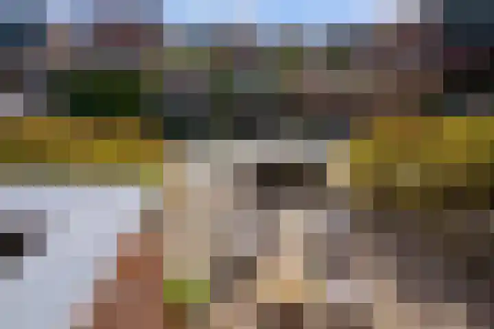 Zoom 10 Brielle thumbnail 38