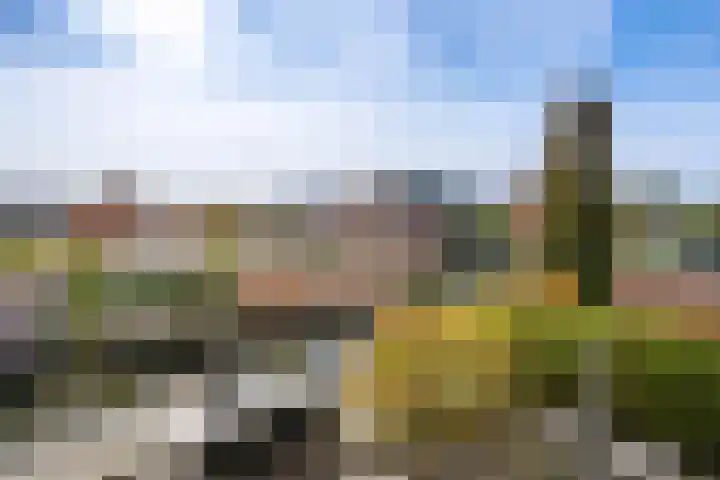 Zoom 10 Brielle thumbnail 39