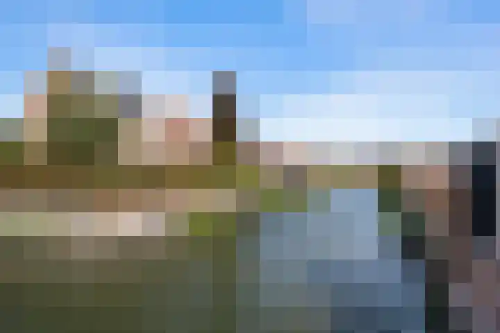Zoom 10 Brielle thumbnail 41