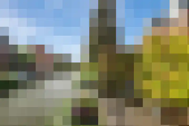 Zoom 10 Brielle thumbnail 45