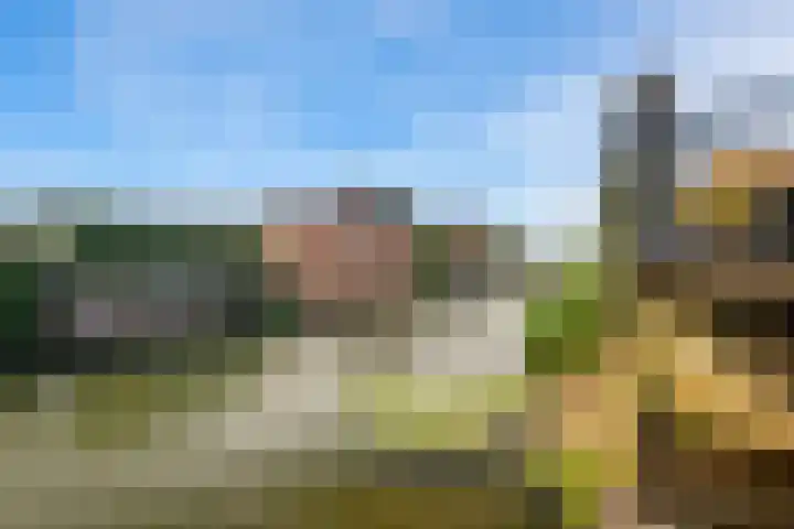 Zoom 10 Brielle thumbnail 48