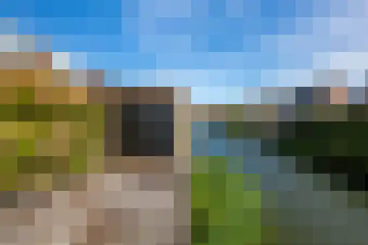 Zoom 10 Brielle thumbnail 49