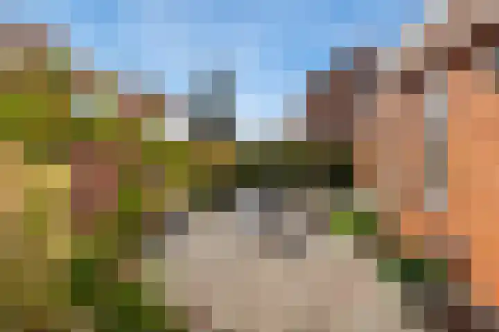 Zoom 10 Brielle thumbnail 50