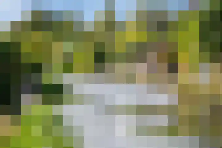 Zoom 10 Brielle thumbnail 51