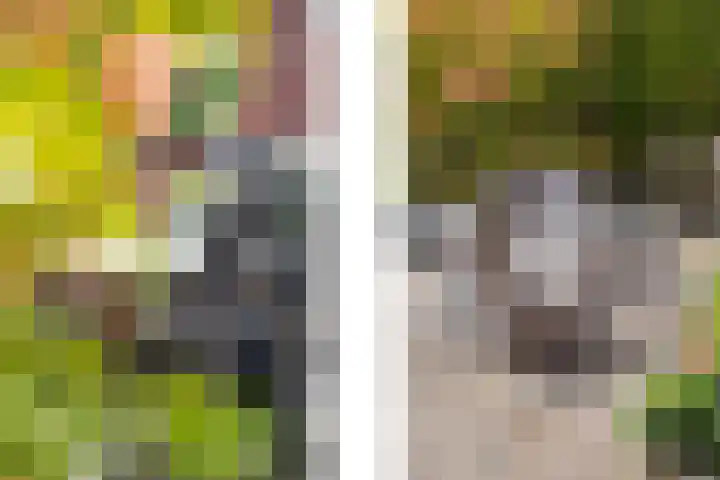 Zoom 10 Brielle thumbnail 53