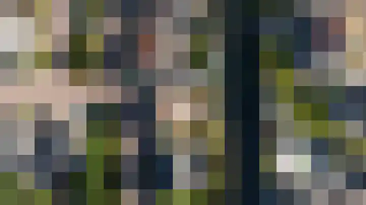 Zoom 10 Brielle thumbnail 66