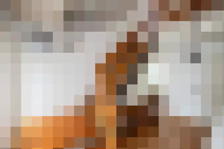 Zoom 21 Zwolle thumbnail 12