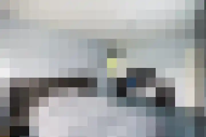 Zoom 21 Zwolle thumbnail 19