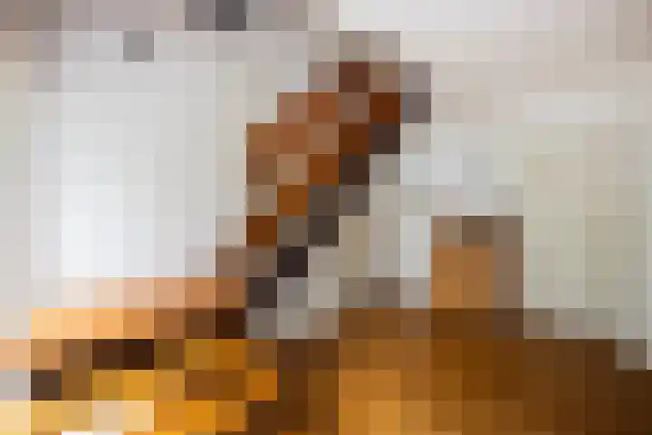 Zoom 21 Zwolle thumbnail 24