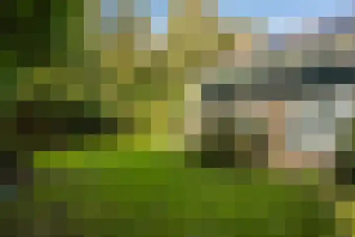Zoom 21 Zwolle thumbnail 28