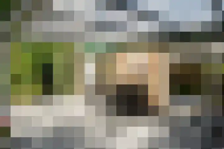 Zoom 21 Zwolle thumbnail 29