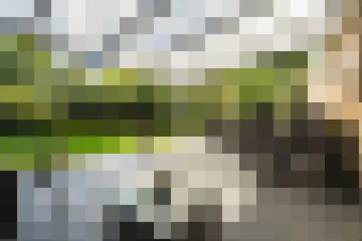 Zoom 21 Zwolle thumbnail 30