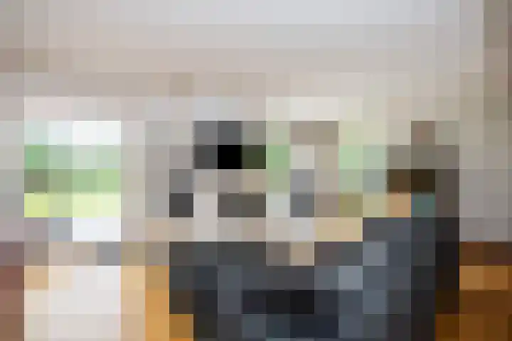 Zoom 21 Zwolle thumbnail 7