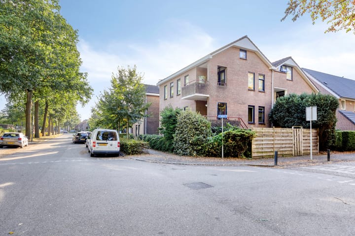 Zoom 45 in Oisterwijk foto