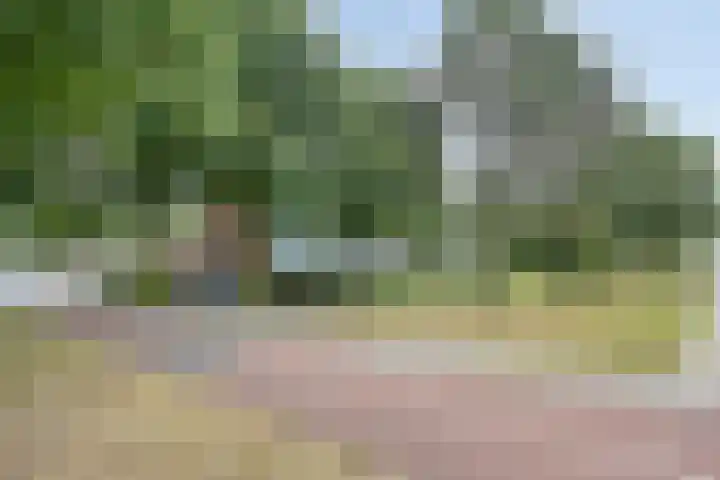 Zoomkade 20 Deventer thumbnail 20