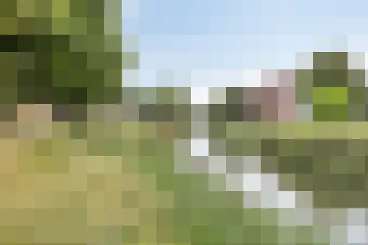 Zoomkade 20 Deventer thumbnail 24