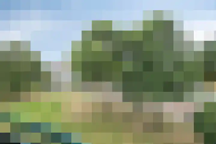 Zoomkade 20 Deventer thumbnail 7