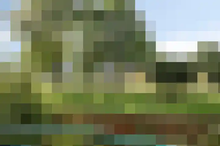 Zoomkade 26 Deventer thumbnail 15